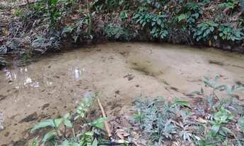 Imagem 5: Venda de terreno - BR 174 ( km 23