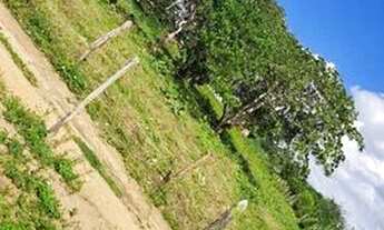 Imagem 2: Terreno 30x76 Povoado Casa Nova