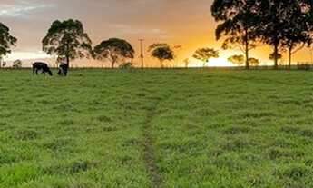 Imagem 7: FAZENDA TODA PRONTA UMA EXCLUSIVIDADE
