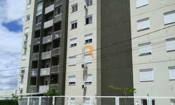 Imagem 4: CANOAS - Padrão - Igara