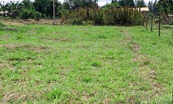 Imagem 6: Lote 26 de setembro