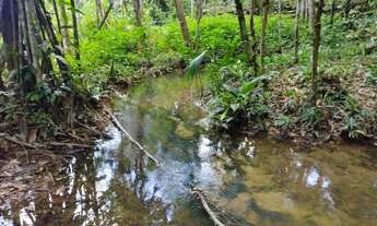 Imagem 4: Venda de terreno - BR 174 ( km 23
