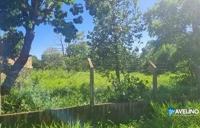 Imagem 2: Ótima área na avenida Gunter Hans