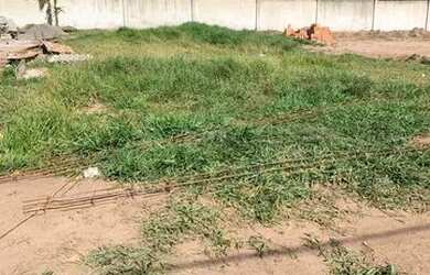 Imagem 4: Ninho verde II ótima oportunidade