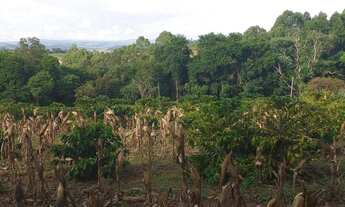 Imagem 3: Chacaras Chácara com venda por R$55.000