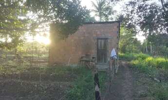 Imagem 5: Casa com terrenno