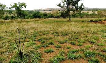 Imagem 5: Chácara de 7.32 alq. Em professor Jamil Goiás 2.200.000