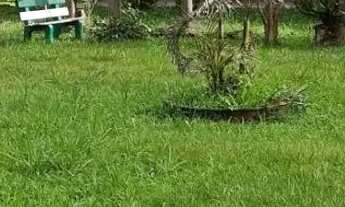 Imagem 2: Oportunidade dos sonhos! Sítio em Canela