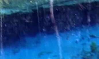 Imagem 7: Fazenda 3.750 hec em Lucialva MT. 200 hec abertos, 20 milhões