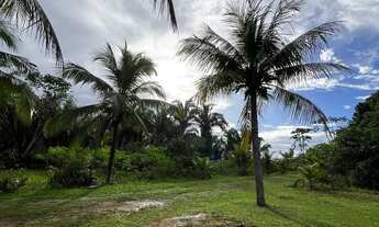 Imagem 6: Sítio para alugar