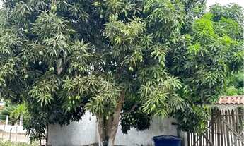 Imagem 3: Vende-se casa no sítio oriente