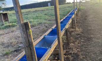 Imagem 7: Ótima chácara em Itaberaí