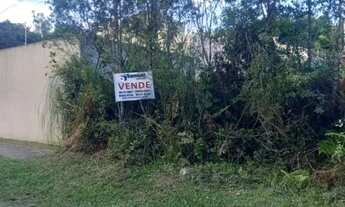 Imagem 2: LOTE A VENDA DEL REY ,SÃO JOSE DOS PINHAIS