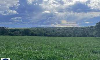 Imagem 7: Fazenda à Venda em Serranópolis (GO) 26 Alqueires