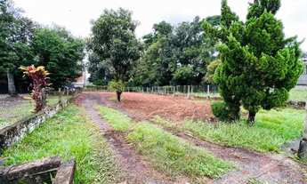 Imagem 3: Imóvel no Sete de Setembro, Ivoti