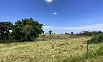 Imagem 2: Fazenda 20 Alqueires - Lavoura!