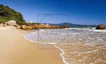 Imagem 6: Terreno à venda Amoraeville