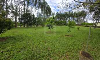 Imagem 7: Fazenda Zona Rural Cidade de Catalão Go - toda mobiliada