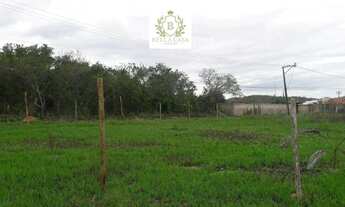 Imagem: Terreno de 2.000 m² à Venda em Morro Grande