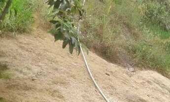 Imagem 7: Terreno à venda, 800 m² por R$ 220.000,00 - Engenho do Mato - Niterói/RJ