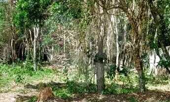 Imagem 5: Condomínio com 3 quartos à venda em Caraguatá - SP