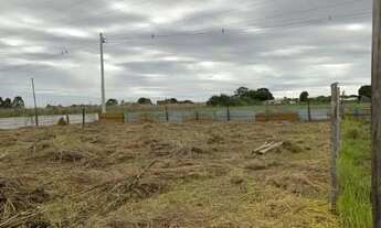 Imagem 3: Galpão/ mini chácara