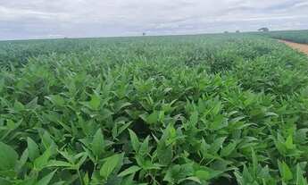 Imagem 5: FAZENDA À VENDA ESTADO DE GOIÁS (GO