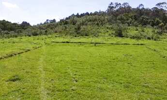 Imagem: Lote 1.000m² com vista e natureza Mairinque