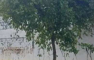 Imagem 5: COMERCIAL - MOOCA - SP