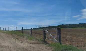 Imagem 4: Fazenda no município de Caldas Novas no estado de Goiás