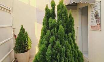 Imagem 4: Casa 3 quartos + suíte