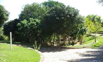 Imagem 7: CHACARA - SÍTIOS FRUTAL - SP