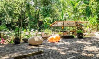 Imagem 4: Casa em terreno amplo cercado por vegetação