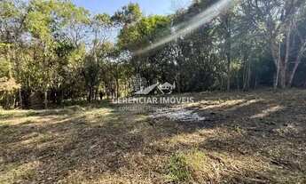 Imagem 5: Sítio 30.000m² com lagoa e casa a venda em Itatiaiuçu MG