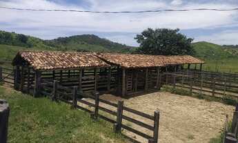 Imagem 5: Fazenda Fazenda / sítio com venda com preço sob consulta