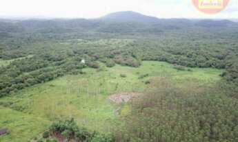 Imagem: Fazenda à venda, 10150000 m² por R$ 8.000.000,00
