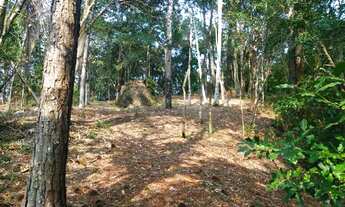 Imagem 2: Terreno à venda, 11023 m² por R$ 10.000.000,00 - Cacupé - Florianópolis/SC