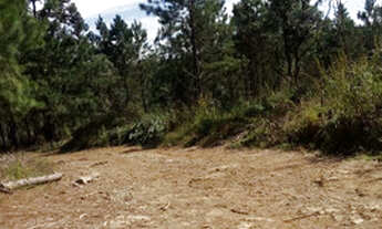 Imagem 5: Aceita permuta! Fazenda / sítio com venda por R$37.000.000