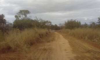 Imagem 4: Lote no Loteamento da Lagoa de 500 metros ao Lado da Cidade Verde uns 50 metros do asfal