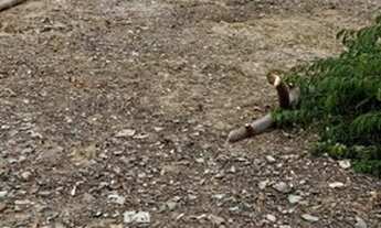 Imagem: Lote de 200 m² - Montes Claros/MG