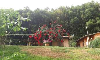 Imagem 2: Chácara Sítio Venda Paraibuna 12.500m² 304406706