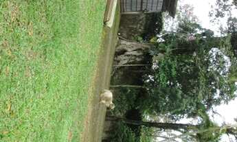 Imagem 6: Chácara Para venda Região Parelheiros Zona Sul - SP