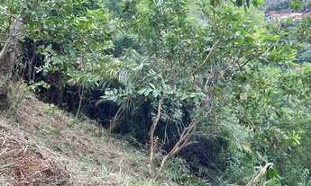 Imagem 6: TERRENO NA BEIRA DO RIO JUCU - 3,500mts2