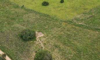 Imagem 2: Fazenda à Venda em Jeremoabo - BA | 108 Hectares | Pasto