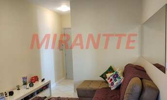 Imagem 5: Lindo apartamento em Tucuruvi