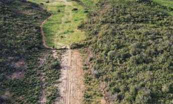 Imagem 4: Fazenda à Venda em Jeremoabo - BA | 1.402 Hectares | Poço Artesiano