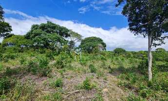 Imagem 6: Terreno para hotel ou condomínio coladinho na praia do espelho!
