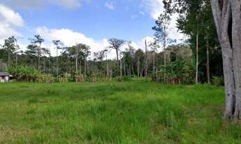 Imagem 3: Terreno de 31.000m² para condomínio ou hotel na orla de Porto Seguro!