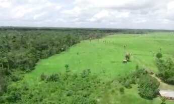 Imagem 7: R$2 milhões de reais fazenda a 80 km de Castanhal 50 alqueires