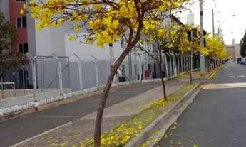 Imagem 3: Apartamento Quitado com Escritura - Condomínio Jerivás - Zona Norte